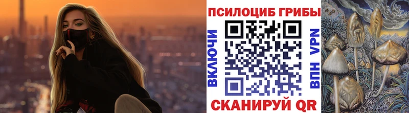 Галлюциногенные грибы Psilocybe  Светлый 